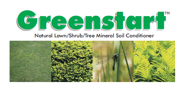 Global Repair Greenstart
